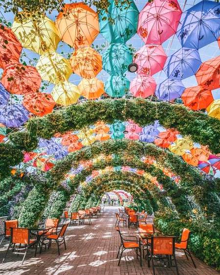 Dubai miracle garden