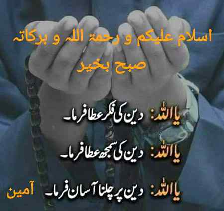 Assla. O alaikum good mornig