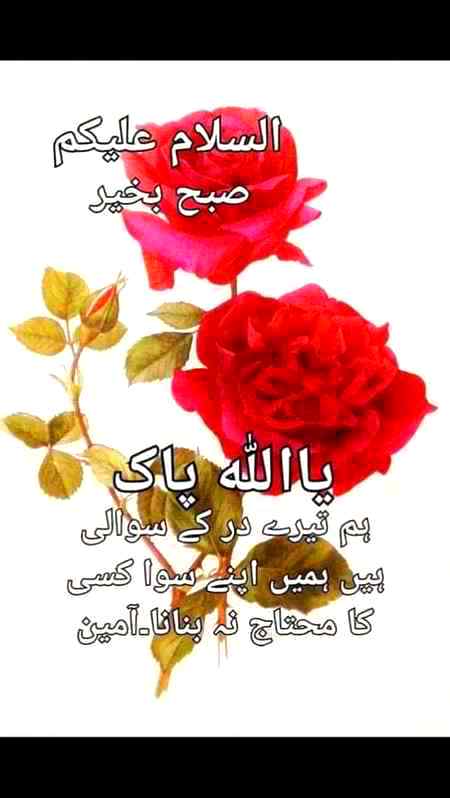 عجیب ہوں کہ محبت شناس ہو کر بھی
اداس لگتا نہیں ہوں -- اداس ہو کر بھیMorning every one💕💕