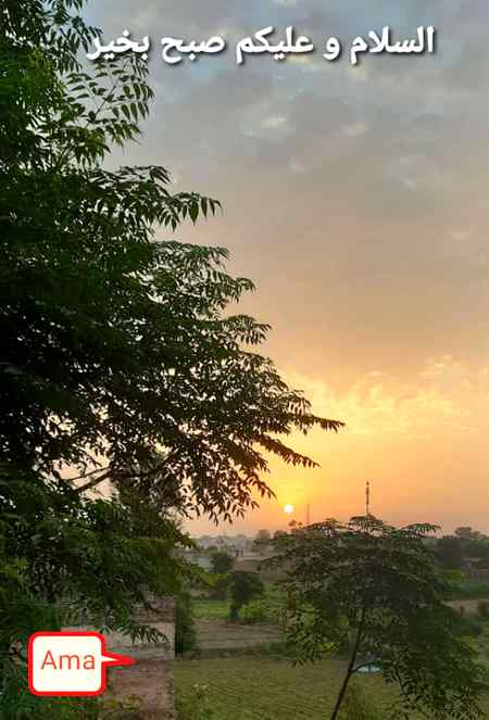 Mera gao 😍😍😍