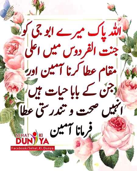 Sending by fareed ahmed shaikh