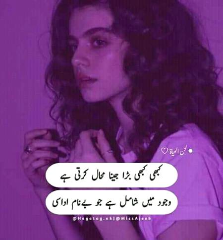 Shah Jee.....😘😍😘😍😘😍😘😍😘