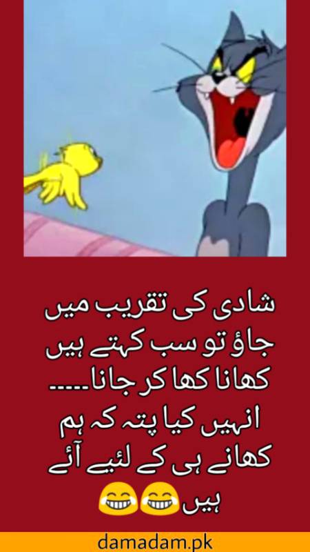 شادی کی تقریب