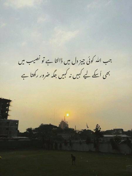 Beshak...!