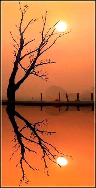 A different types of sunrise and reflection shoot 💕💕