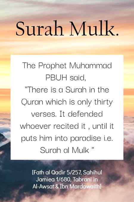 ..holy prophet..