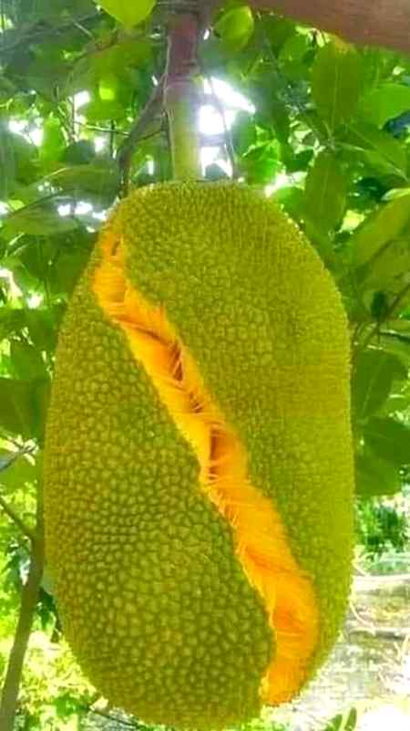 Hi friend do you like this