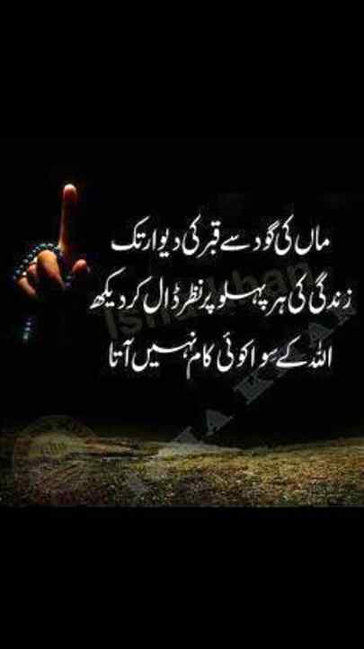 🥀🥀🥀🥀 Bilkul🥀🥀🥀🥀