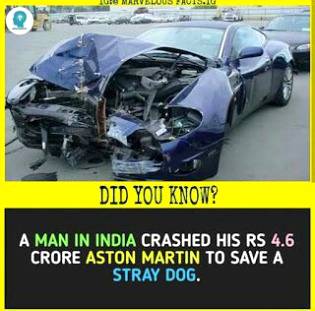 DID YOU KNOW??
