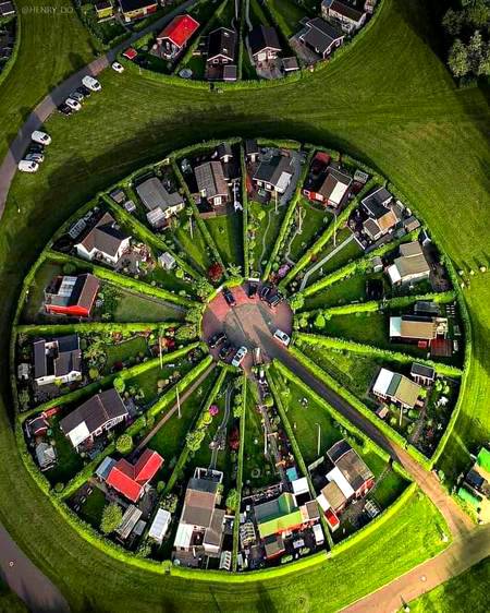 Amazing colony in Denmark!🌿☘️