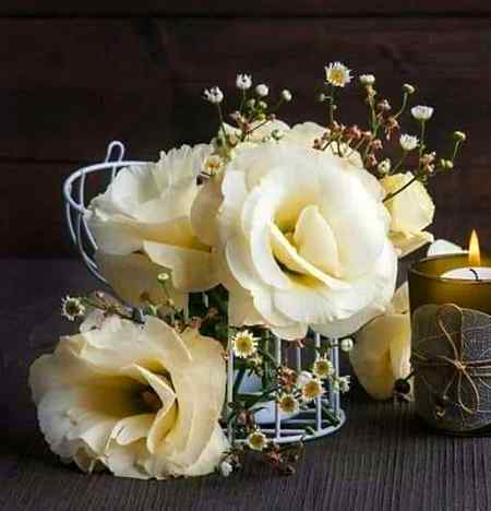 سنو " اے ابن آدم ! جب تم میں نکاح کرنے کی طاقت نہ ہو.تو اپنی محبت کے ساتھ نکاح کے بعد والی باتیں بھی نہ کیا کرو...❤