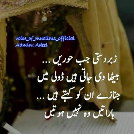 Zabardasti jab ...