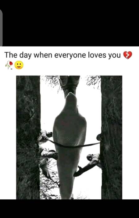 Excatly😪