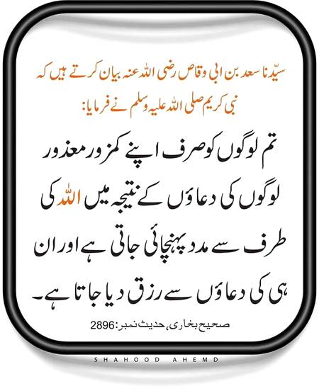 🌹🌹🌹صلی اللہ علی حبیبہ محمد نور من نوراللہ وعلی آلہ واہل بیتہ وعترتہ وازواجہ وصحبہ وجدہ وذریتہ و کل امتہ وبارک وسلم کثیراً کثیرا و دائماً ابدا 🌹🌹🌹