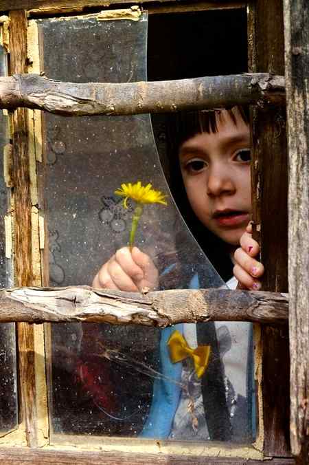 She was a rose...in the hands of those...who had no intention of keeping her...
