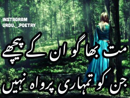 Shah Jee.....😘😍😘😍😘😍😘😍😘