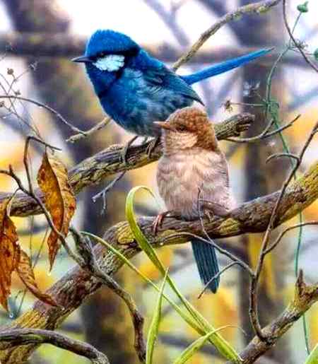 Salaam o aleekum friends