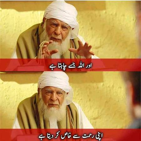 Beshak G