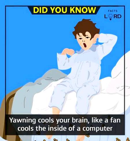 Unbelievable facts 💥💥