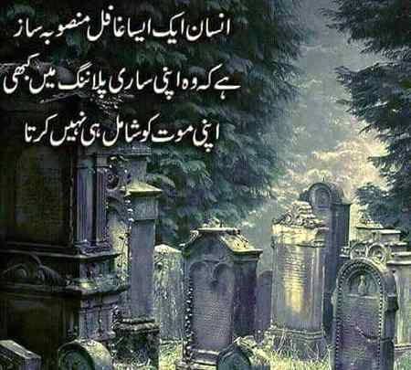 ❤💕❤ bilkul