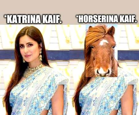 Epic chuss after so Long
Pic 1: Kat-Rinakaif
Pic 2: Horse-Rinakaif