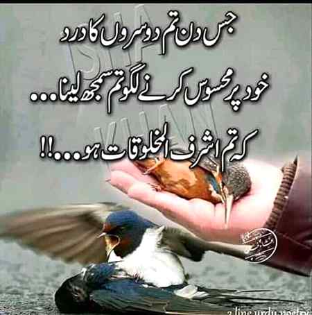 Please apny ghar ki shatto py choty janwroo ke liye pani ka intezaam kary please ap se aik darkhoast hain apki is neki ki waja sy koi parinda piyaassa marny sy bach jae ga so please ye massesg apni reletives ko bhe de is baar koi be prinda piyassa nai mary ga inshaLLAH 😊