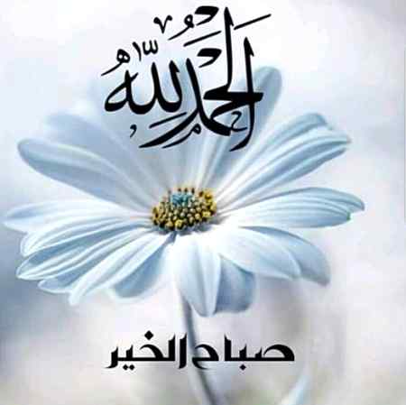 اَلسَلامُ عَلَيْكُم وَرَحْمَةُ اَللهِ وَبَرَكاتُهُ 
🌹صبح بخیر زندگی🌹
 
یا رب العزت۔۔.! 
ہمیں مانگنے کا سلیقہ نہیں ہم پر اپنا رحم فرما ہماری اُن دُعاؤں کو قبول فرما جس میں ہماری  بہتری ہو۔!

آمین ثم آمین یا رب العالمین