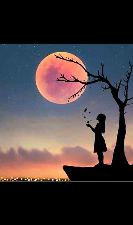 ھی خاموش سا______ انداز ھے تمہارا❤ ❤❤سمجھ نہیں آتا , فدا ھو جاؤں یا فنا ھو جاؤں