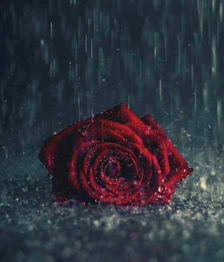 مُسکرانا , سِکھا رھا ھُوں تجھے
اب تیرا غم بھی ، پالنا پڑے گا

ایک خط ھے ، خطوں میں رکھا ھُوا 
سارا ماضی ، کھنگالنا پڑے گا

For some one 😢