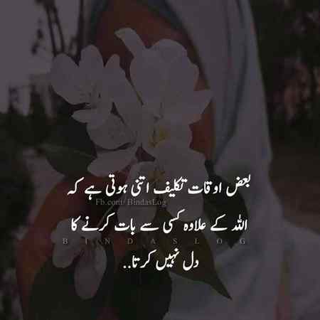 🌹 Right.🌹