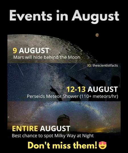 Don't miss them
