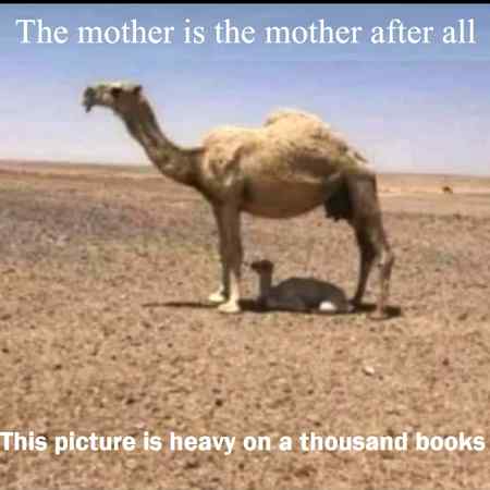 Mother is mother after all