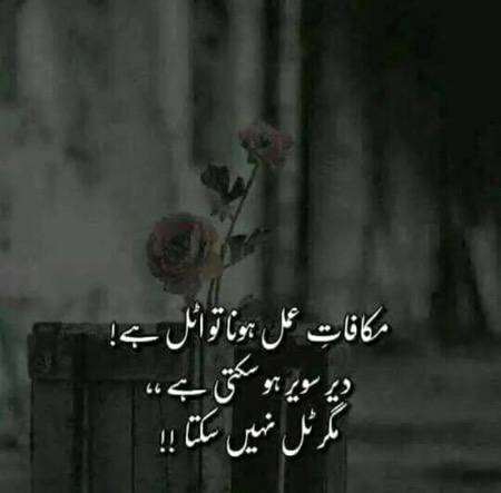 as you sow so you shall reap🙂🚫✌🏻