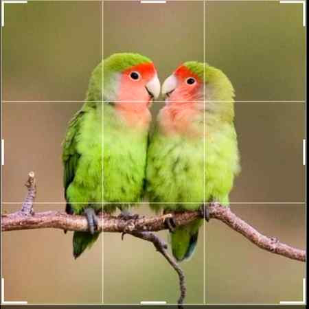 So cute and sweet..