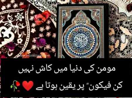 Na umeed kabhi bi ni hona chayay🙂