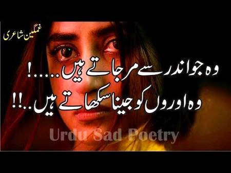 Bilkul😔😔😔
