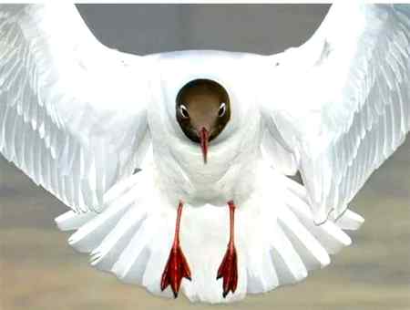 Allah Hafiz take care sweet dreams