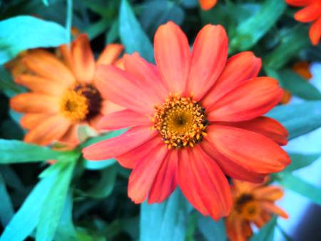 Nature Photography, Captured by me