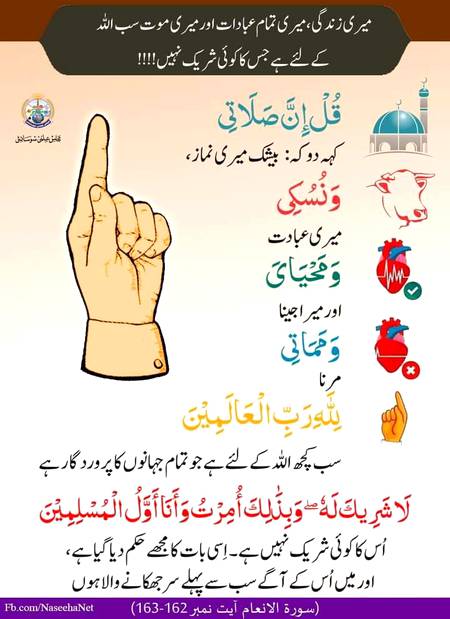 Beshak.... ,,,,