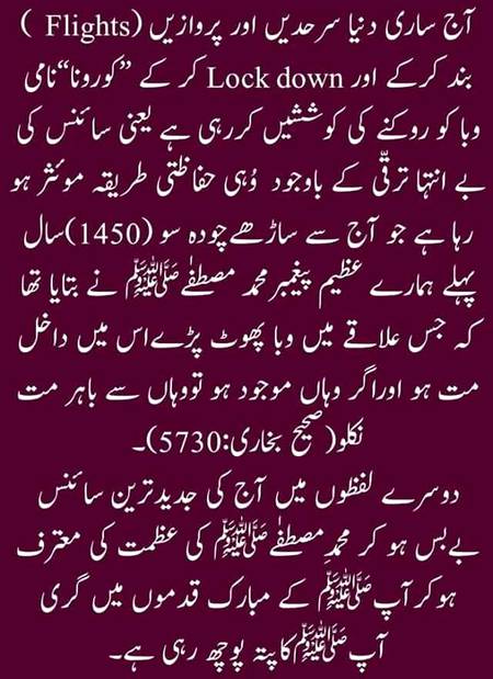 🌹🌹🌹صلی اللہ علی حبیبہ محمد نور من نوراللہ وعلی آلہ واہل بیتہ وعترتہ وازواجہ وصحبہ وجدہ وذریتہ و کل امتہ وبارک وسلم کثیراً کثیرا و دائماً ابدا 🌹🌹🌹
