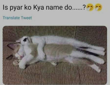 Is month ka mushkil tareen sawalz hy koi esa jo hawab dy sky