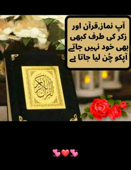 Asslam-o-Alikum everyone