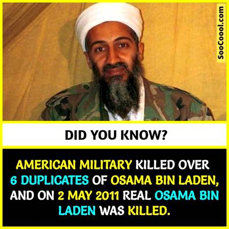 Did  you Know
