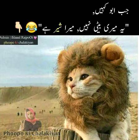 Sherni baba ke