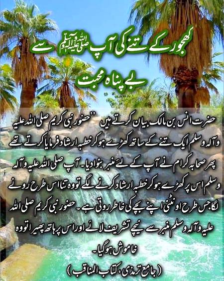 🌹🌹🌹صلی اللہ علی حبیبہ محمد نور من نوراللہ وعلی آلہ واہل بیتہ وعترتہ وازواجہ وصحبہ وجدہ وذریتہ و کل امتہ وبارک وسلم کثیراً کثیرا و دائماً ابدا 🌹🌹🌹