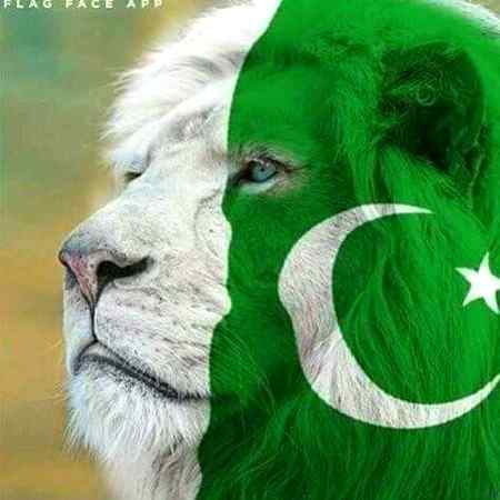 Sending by fareed ahmed shaikh