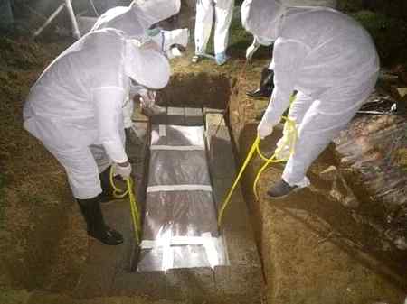 روزانہ کے اٹھتے  جنازوں نے  یہ بات تو سمجھا دی کہ میرا مال,, میری ڈگریاں,, میرا اسٹیٹس,, میرے اہل وعیال میرے عہدے کسی کام نہیں آئیں گے کامیابی کا وعدہ ملک و مال اور خزانوں کے ساتھ نہیں ہے بلکہ آخرت کی کامیابی کا وعدہ اللہ اور رسول کی اطاعت کرنے کے ساتھ ہے۔💯*