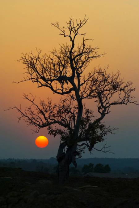 Beautiful view of sunset