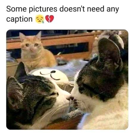JaaaaN bar bhy HaaL Hain.j1 .i6