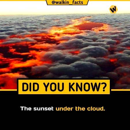 DID YOU KNOW??
